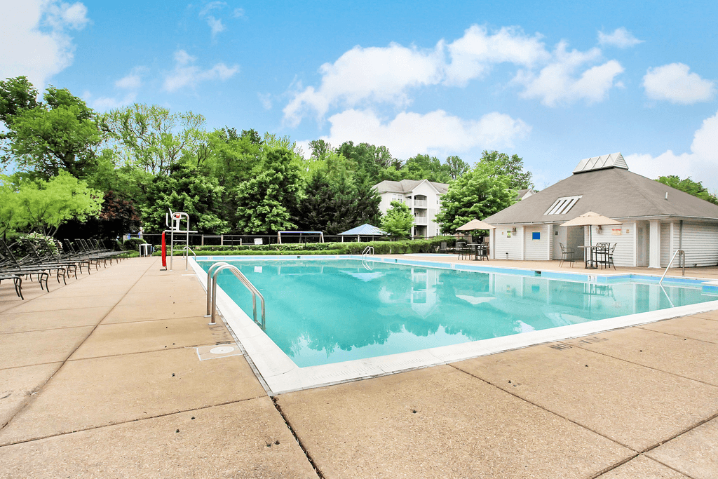 Swimming pool and sun deck with lounge chairs with trees and building exteriors in the background
