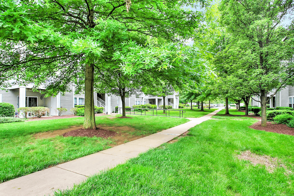 Sidewalk Through Plants and Trees leading to Parking Lot with Building Exterior in the Background