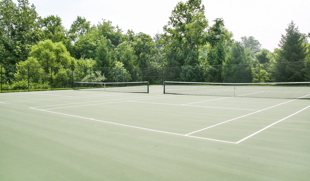Two tennis courts with native landscaping in the background.