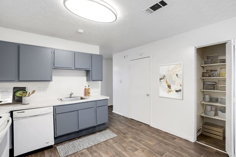 a kitchen with gray cabinets and a white dishwasher