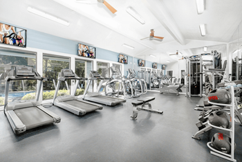 A gym with treadmills, weights, and exercise equipment at Madison Southpark Apartment Homes, Charlotte, 28226