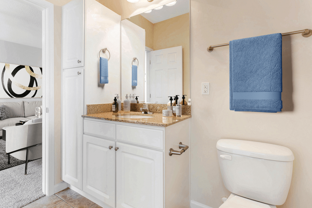 Luxurious Bathroom at Ashley Court Apartments, North Carolina