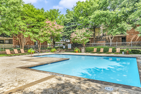 Swimming pool with lounge chairs, picnic table and native landscape