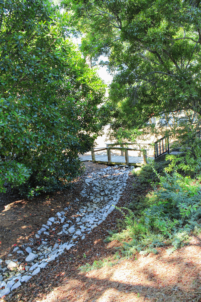 walking trail with wood bridge