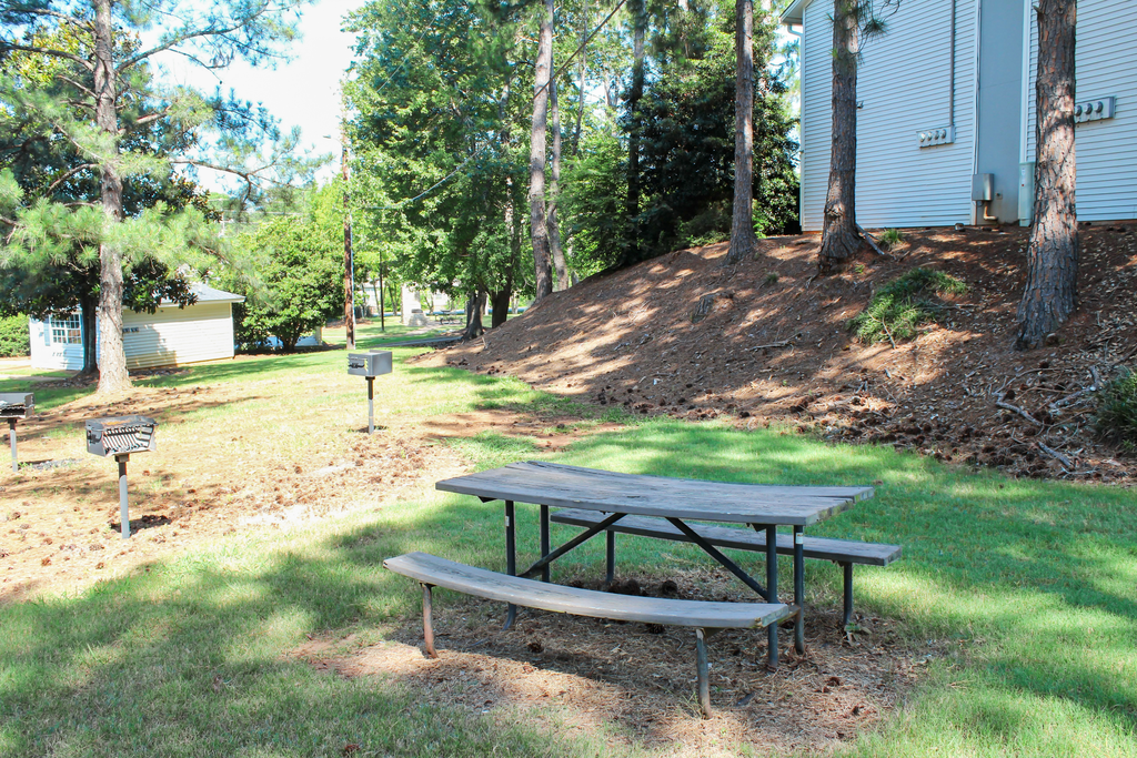 picnic tables and grills