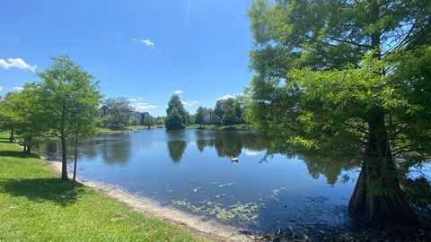 Lake surrounded by grass area and trees