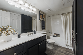 bathroom with black cabinetry and hardwood-style flooring