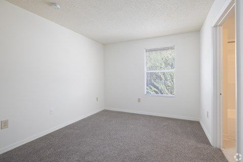 A room with a carpeted floor and a window with a view of trees.