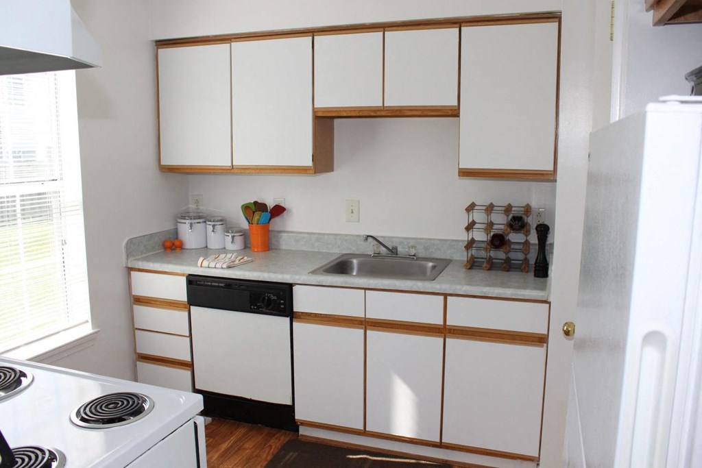 White kitchen cabinets with the sink and dishwasher in frame