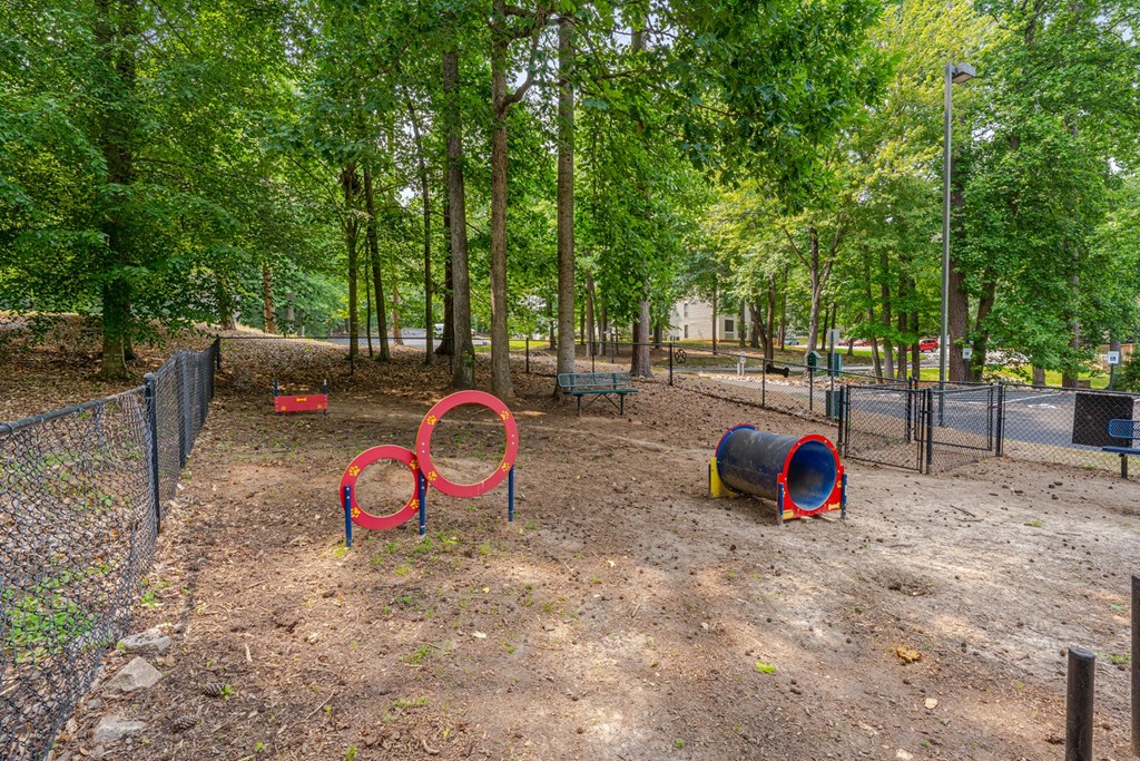 dog park with agility equipment
