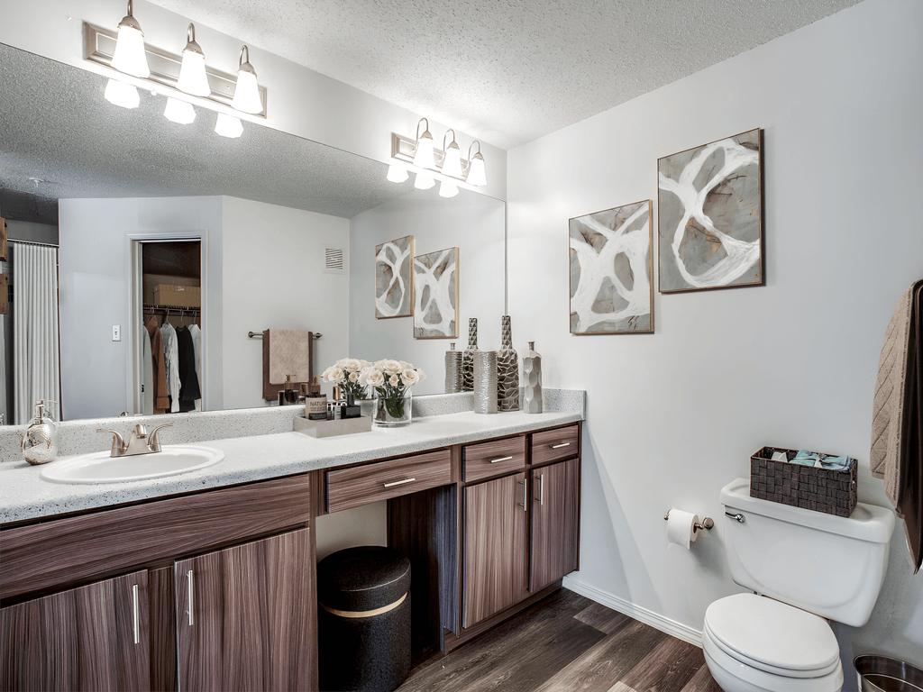 a bathroom with a toilet and a sink and a mirror