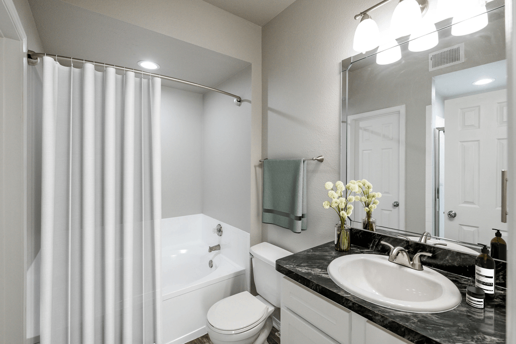 a bathroom with a shower and a sink and a toilet