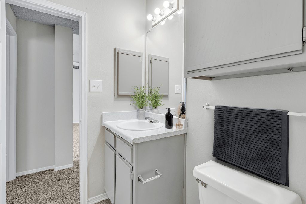 a bathroom with a sink and a mirror and a toilet