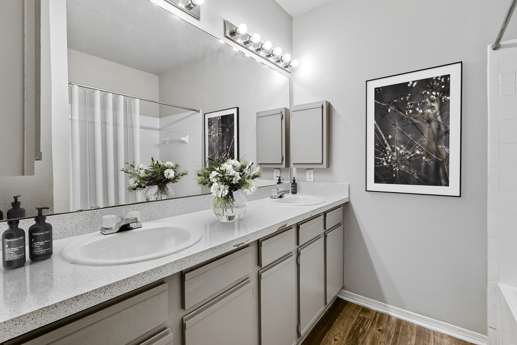 a bathroom with two sinks and a mirror