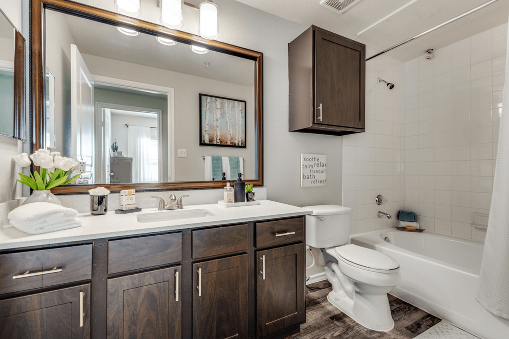 a bathroom with a toilet sink and mirror and a tub