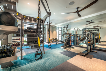 Fitness center with cardio and strength machines with TRX system. - Photo Gallery 30