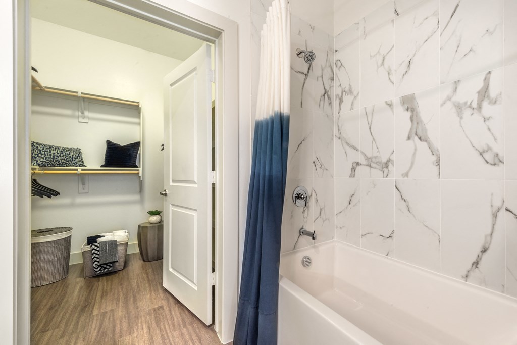 Bathroom area facing walk-in closet and bathtub