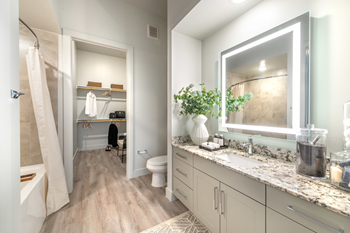 Staged bathroom with wood style flooring, granite countertops, custom lighted vanity mirror, gray cabinetry, and direct access to walk in closet