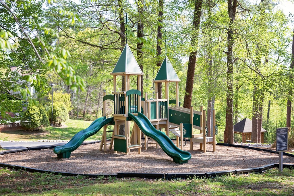 playground with trees in the background