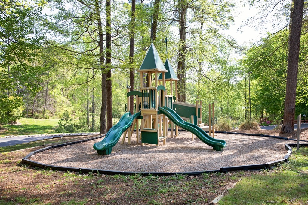 playground with trees in the background