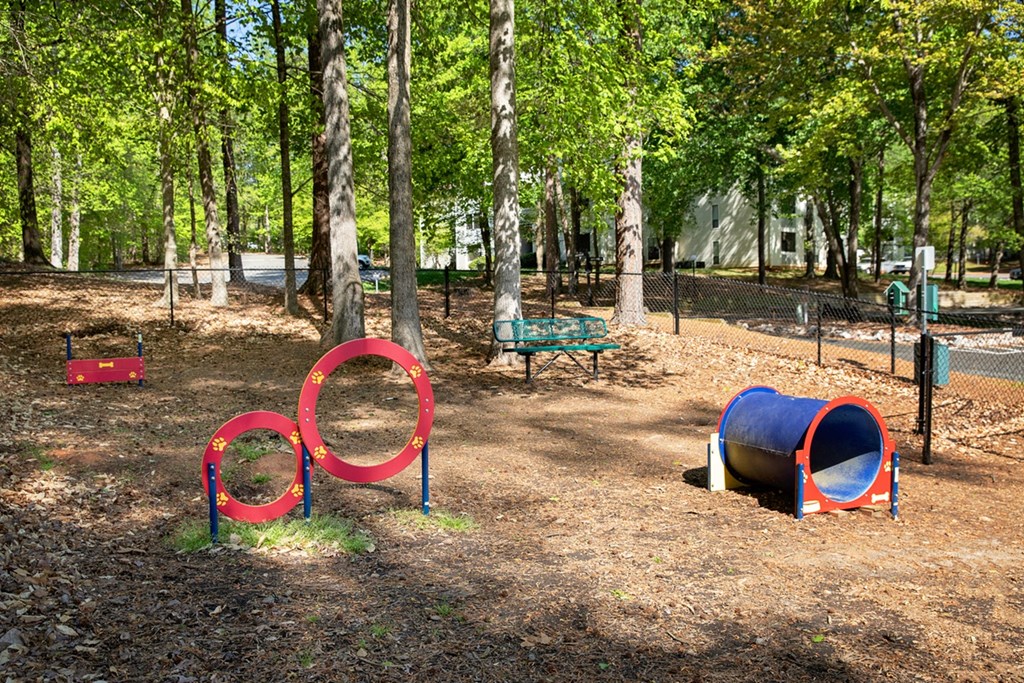 dog park with agility equipment