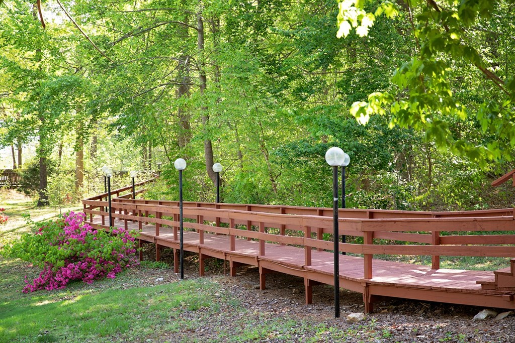 A wooden bridge in a lush green forest.