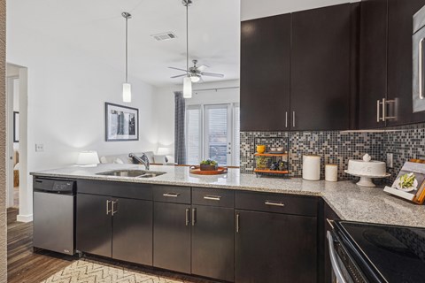 A modern kitchen with black cabinets and a stainless steel dishwasher.