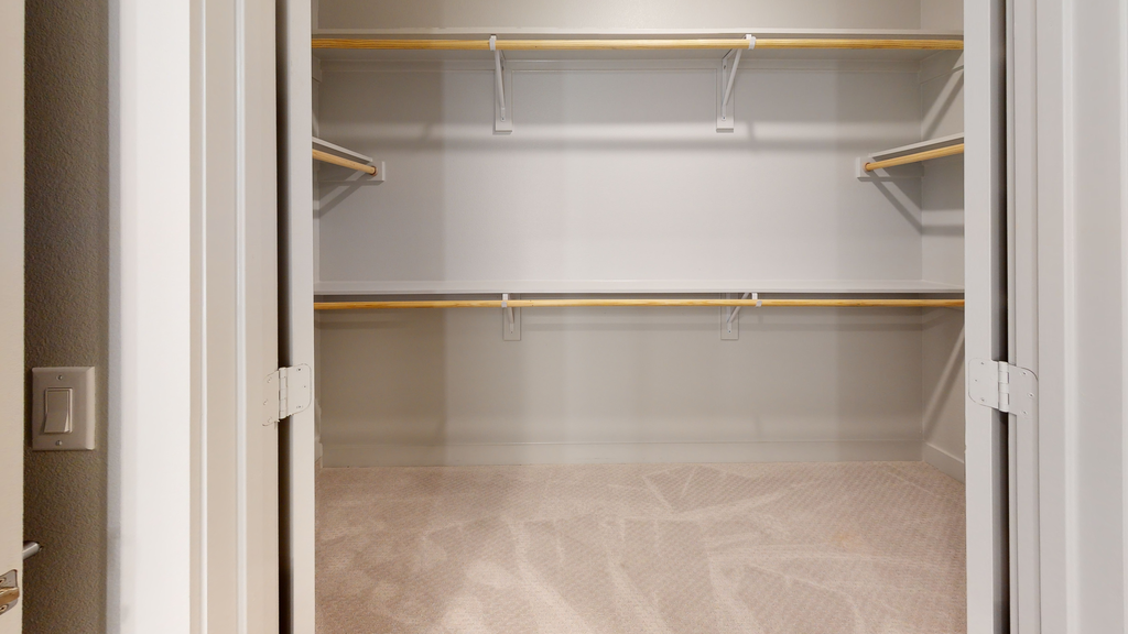 Walk in closet with shelves and carpet