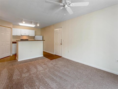 Living Room | The Grayson Apartment Homes Charlotte, NC