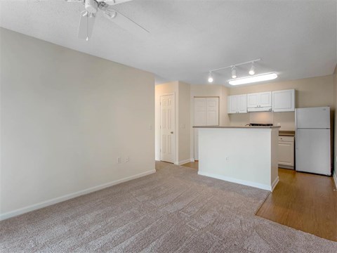 Living Room | The Grayson Apartment Homes Charlotte, NC