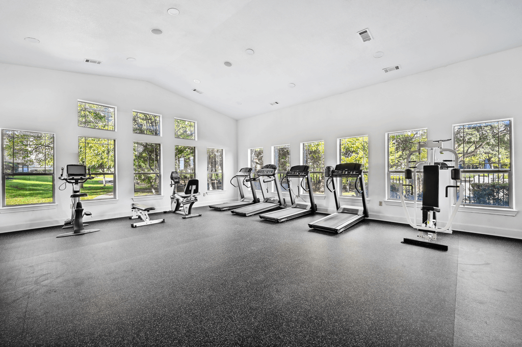 the gym has plenty of cardio equipment and windows