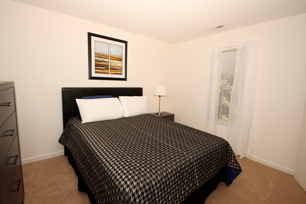 a bedroom with a bed and a dresser