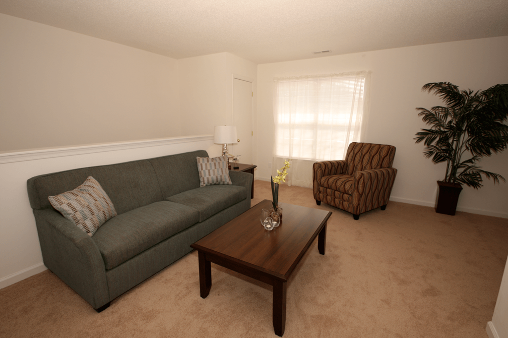 Carpeted living room with a couch, chair and coffee table. large window with blinds next to a house plant.