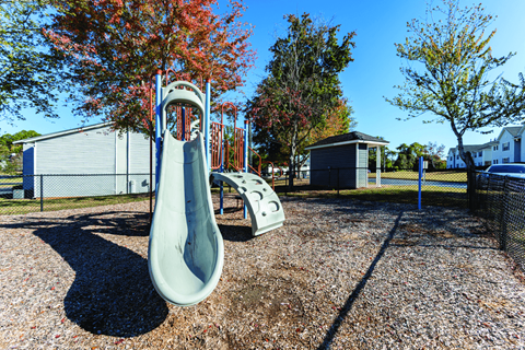 A playground with a slide and a tree with red leaves.