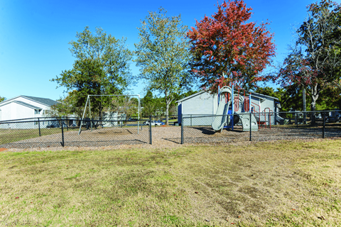 A playground with a slide and a red tree in the background.