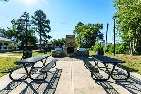 Picnic tables and benches are set up in a park.