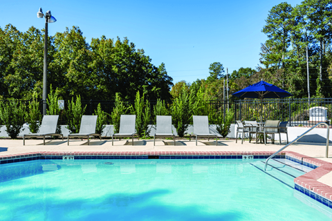 A pool surrounded by trees and chairs.