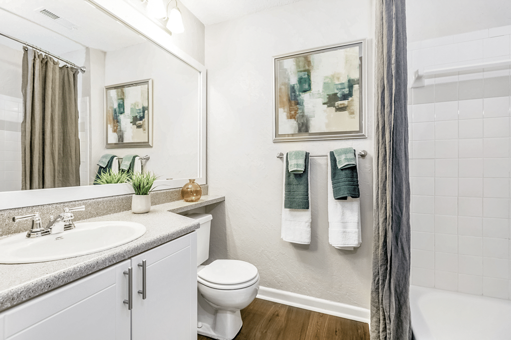 A bathroom with a white toilet, a sink, and a mirror at Paces Pointe Apartment Homes, North Carolina