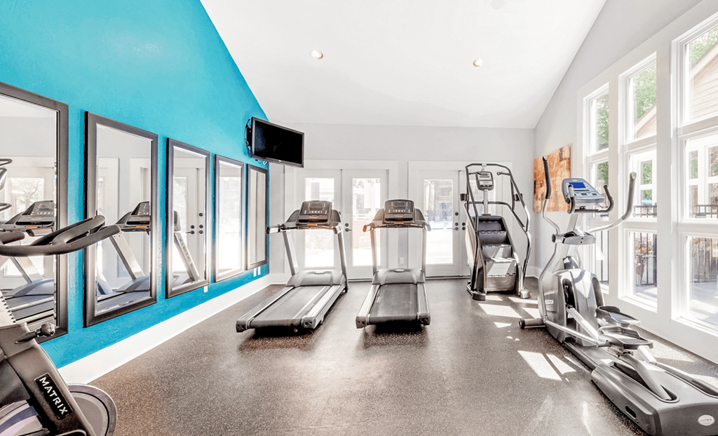 A gym with treadmills, elliptical machines, and a television at Paces Pointe Apartment Homes, Matthews, NC