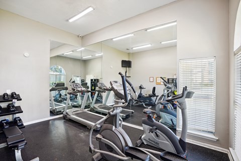 A gym with treadmills and elliptical machines.