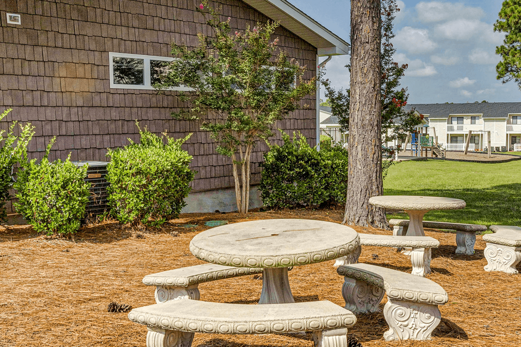 Picnic Tables at Patriot Point Apartment Homes, Spring Lake, NC 28390