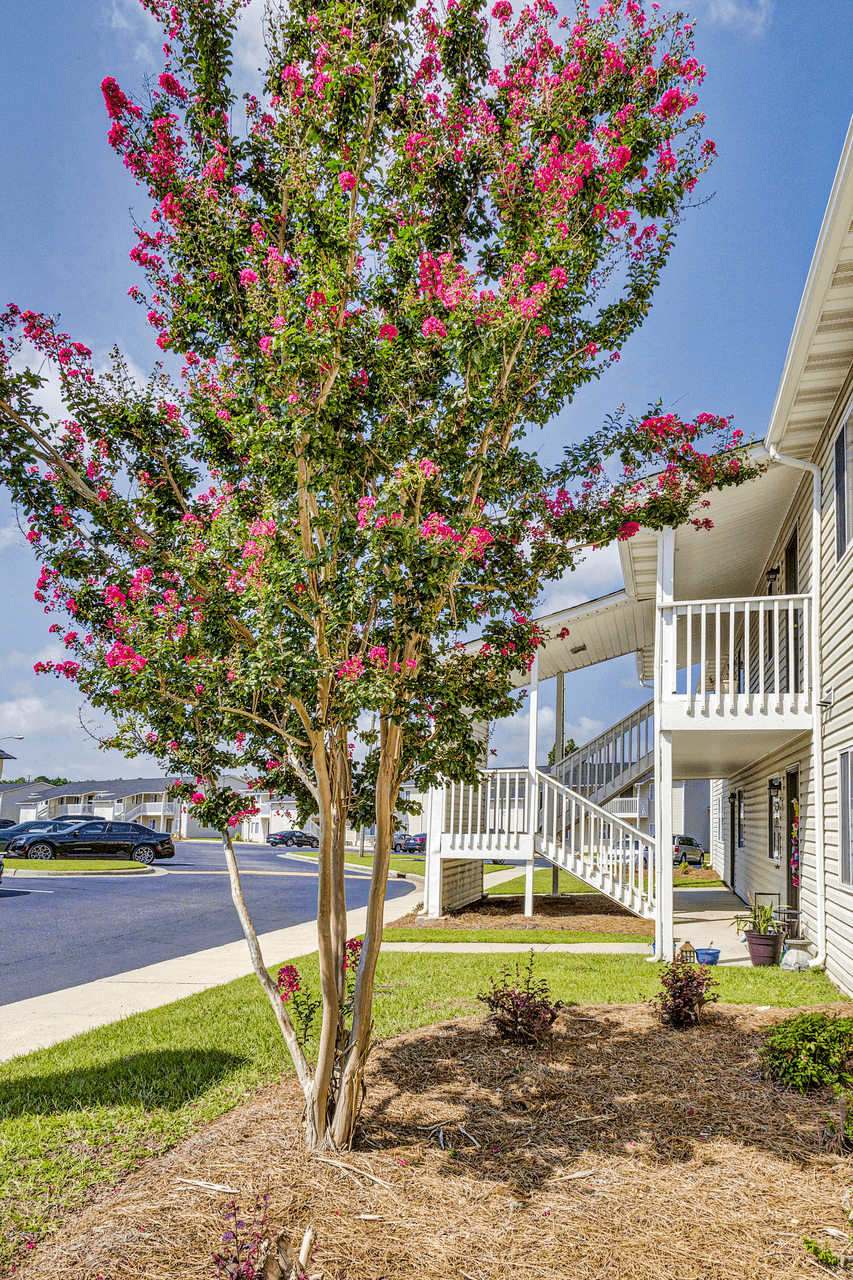 Exterior at Patriot Point Apartment Homes, North Carolina 