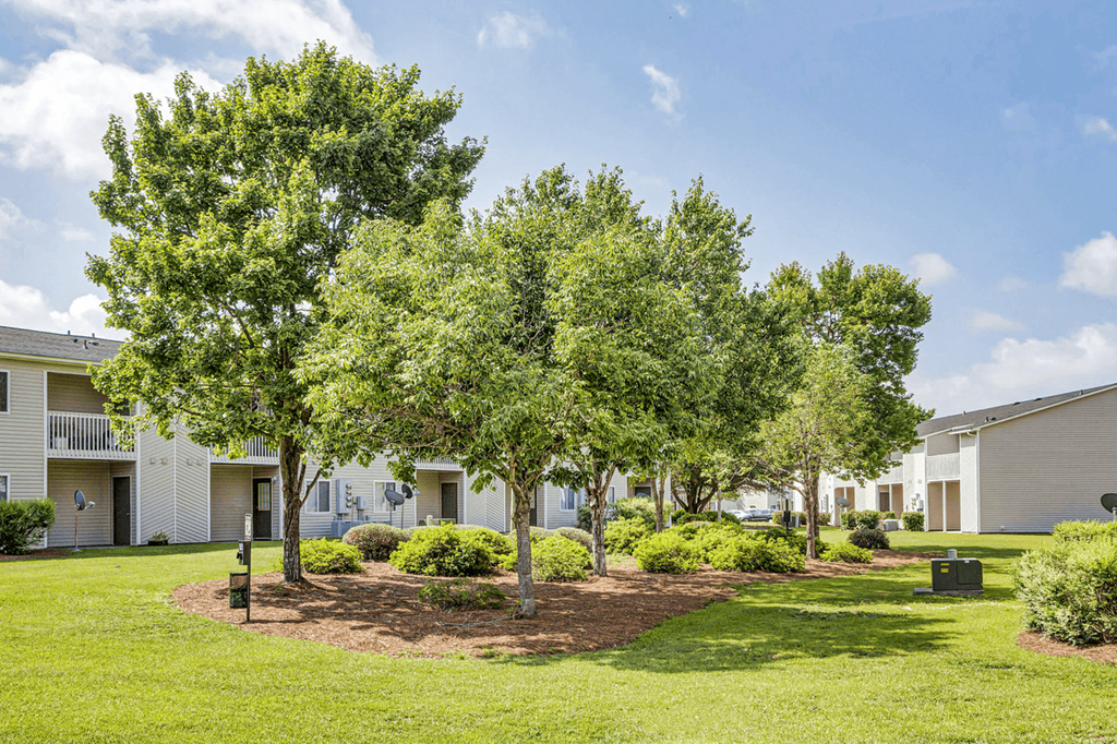 Lush Green Outdoor at Patriot Point Apartment Homes, Spring Lake North Carolina 