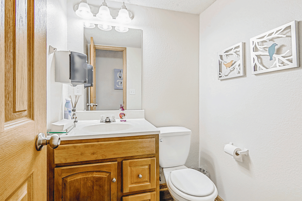 Vanity Lights at Patriot Point Apartment Homes, Spring Lake North Carolina 