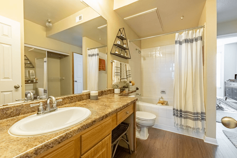 a bathroom with a sink and a toilet