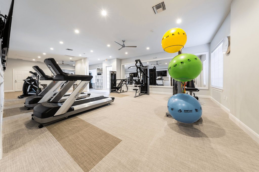 a gym with treadmills and exercise balls