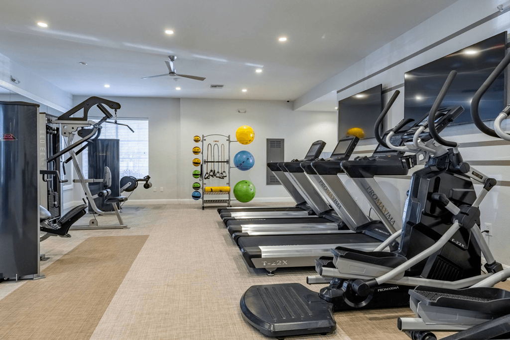 a gym with treadmills and weights