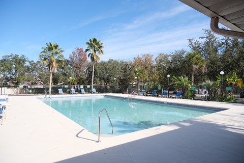 A large swimming pool surrounded by palm trees and blue lounge chairs.