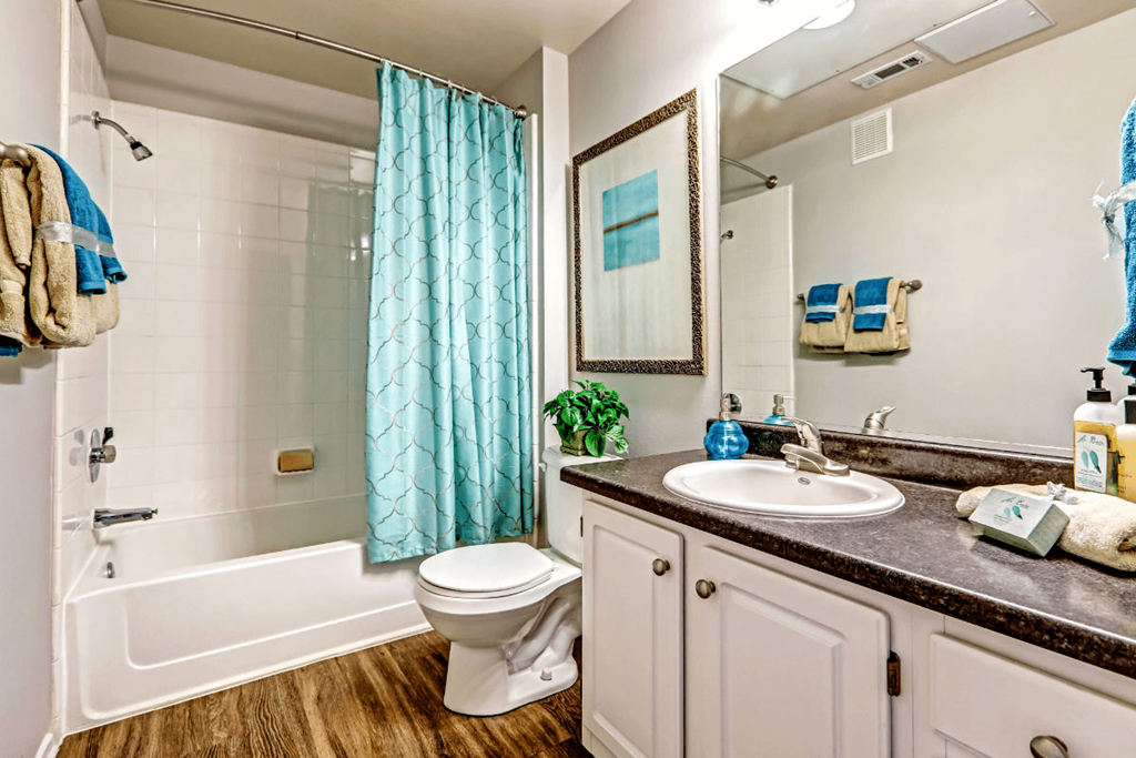 a bathroom with a shower toilet and sink