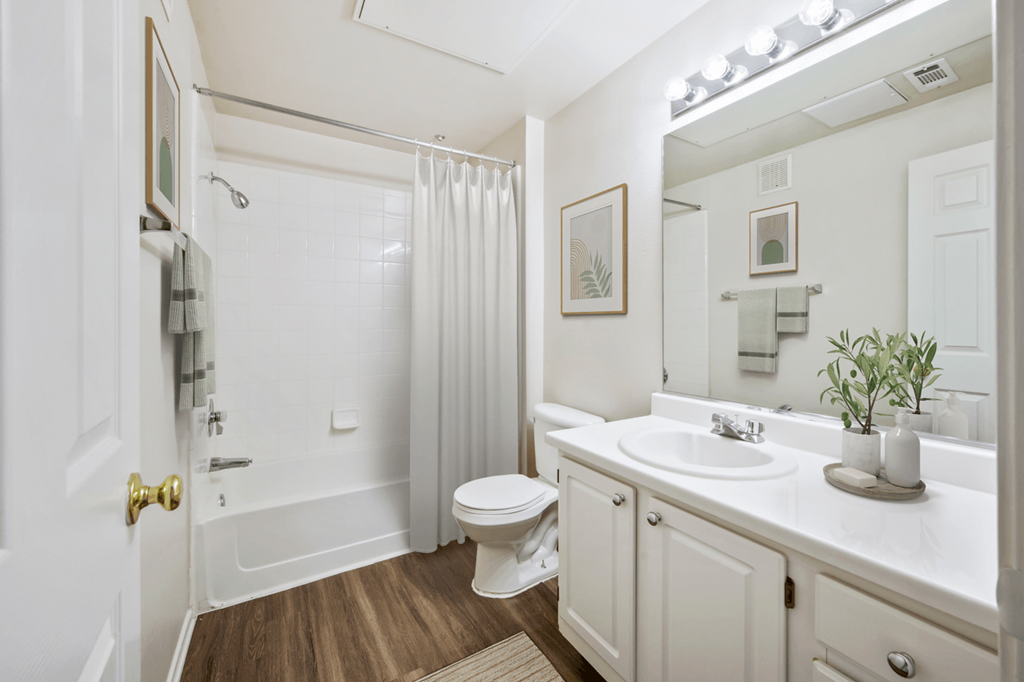 a bathroom with a shower toilet and sink